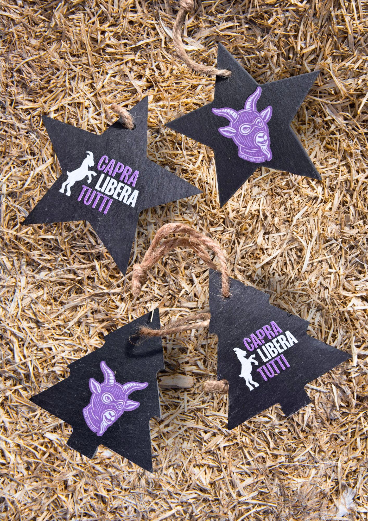 Decorazioni Natale Libera Tutti