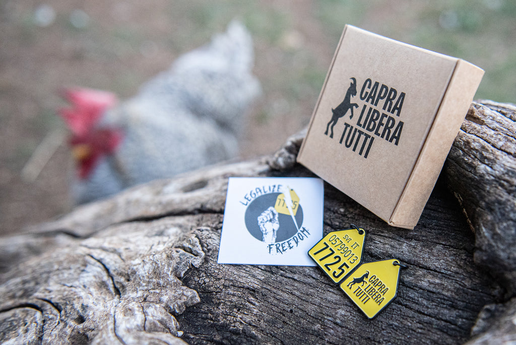 Ciondolo Libera Tutti