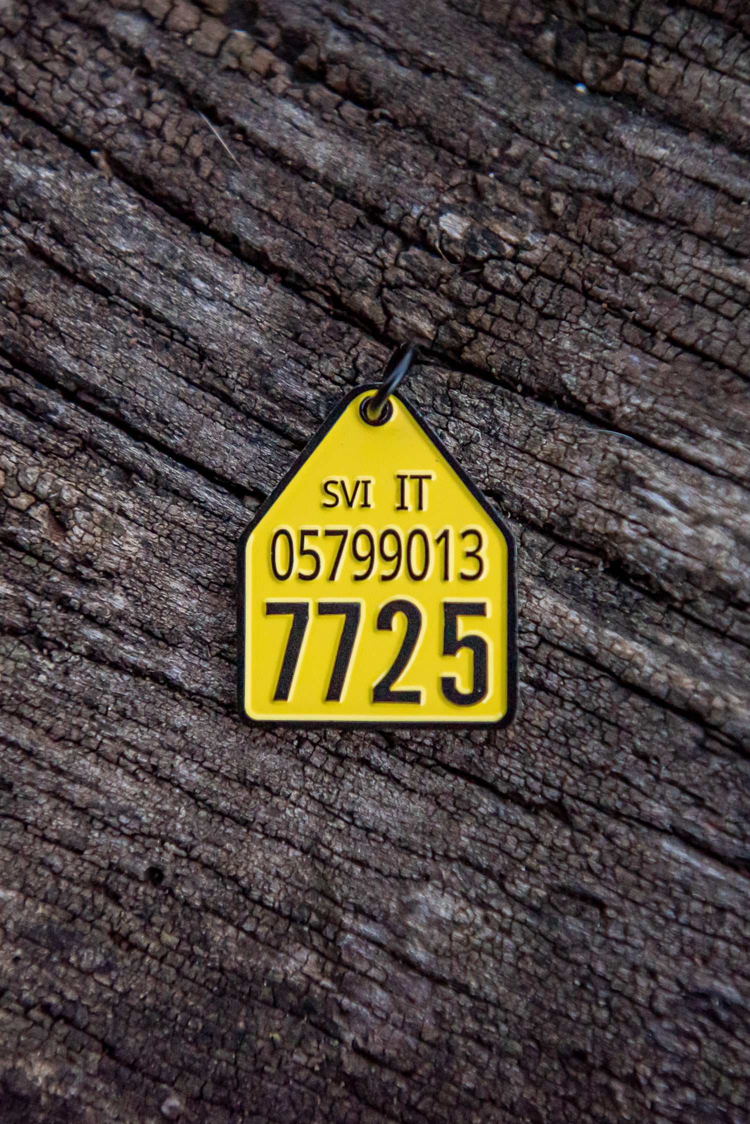 Ciondolo Libera Tutti