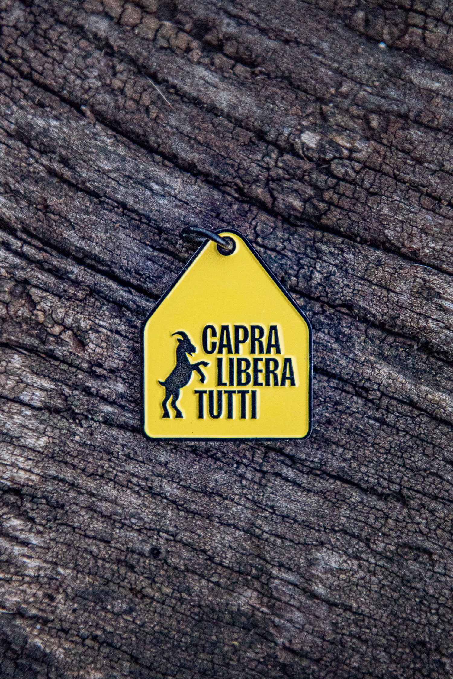 Ciondolo Libera Tutti