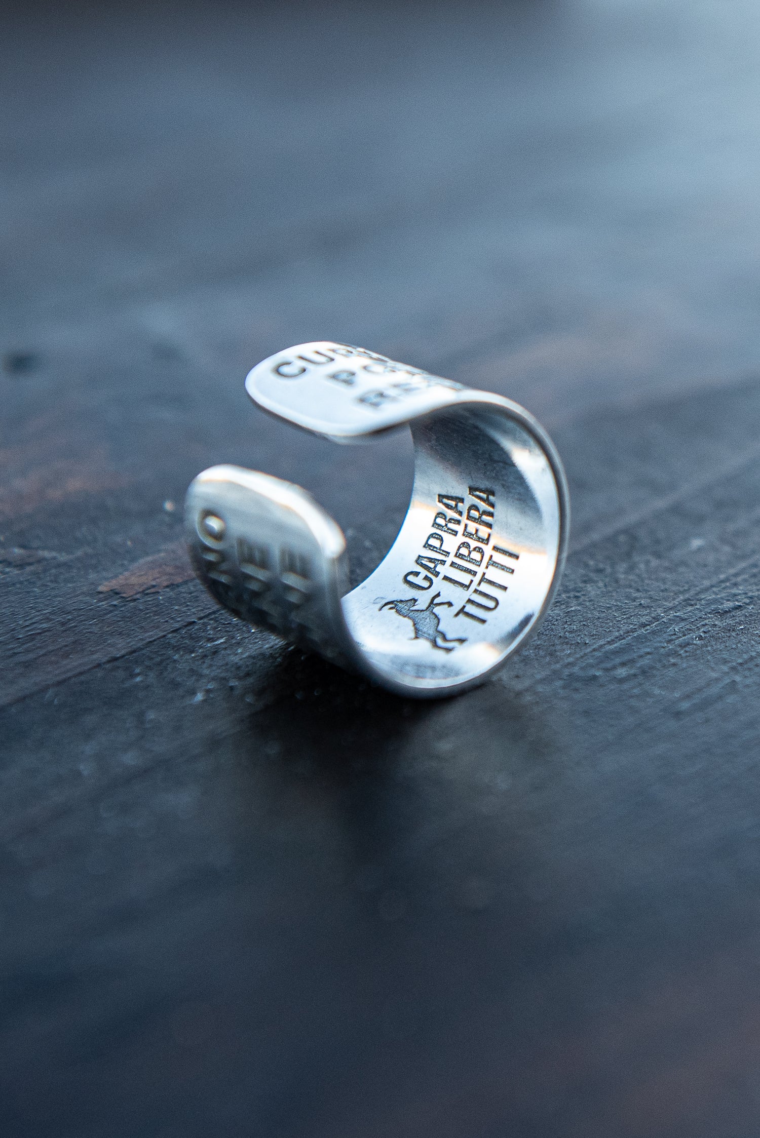 Anello Le parole del cambiamento