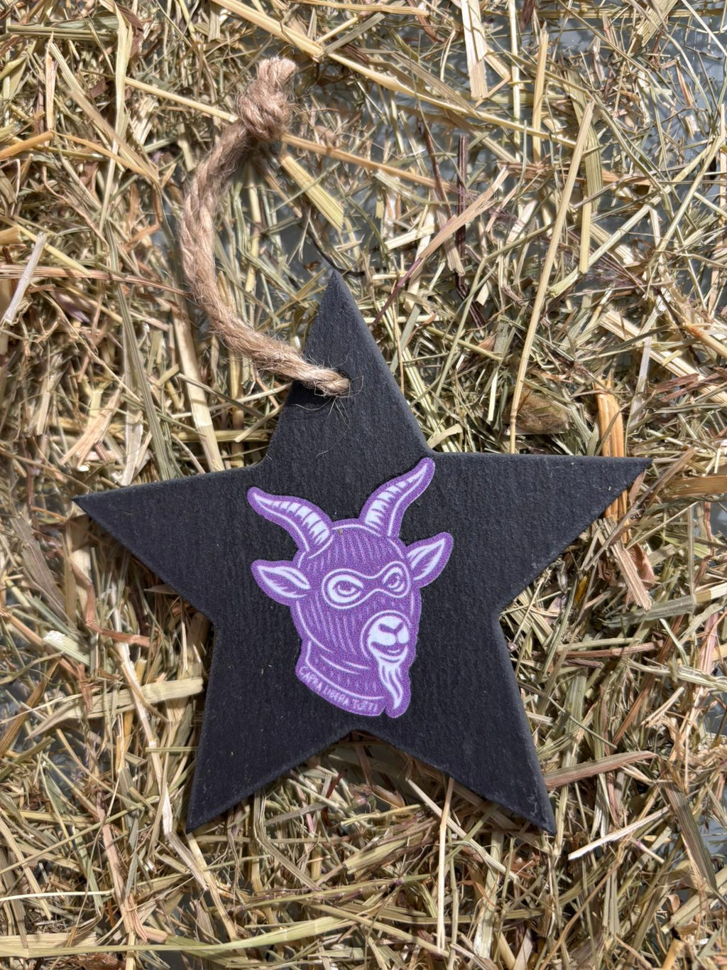 Decorazioni Natale Libera Tutti