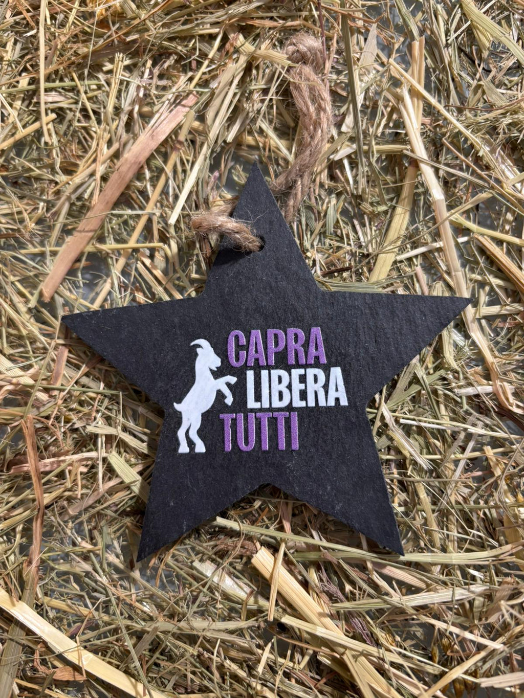 Decorazioni Natale Libera Tutti